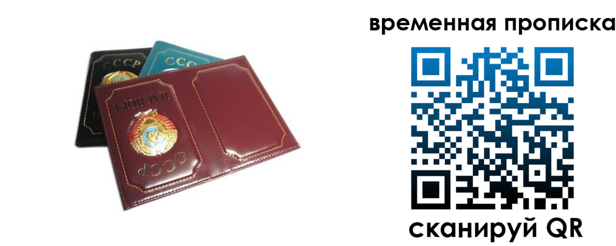 прописка 2025 в Поворино
